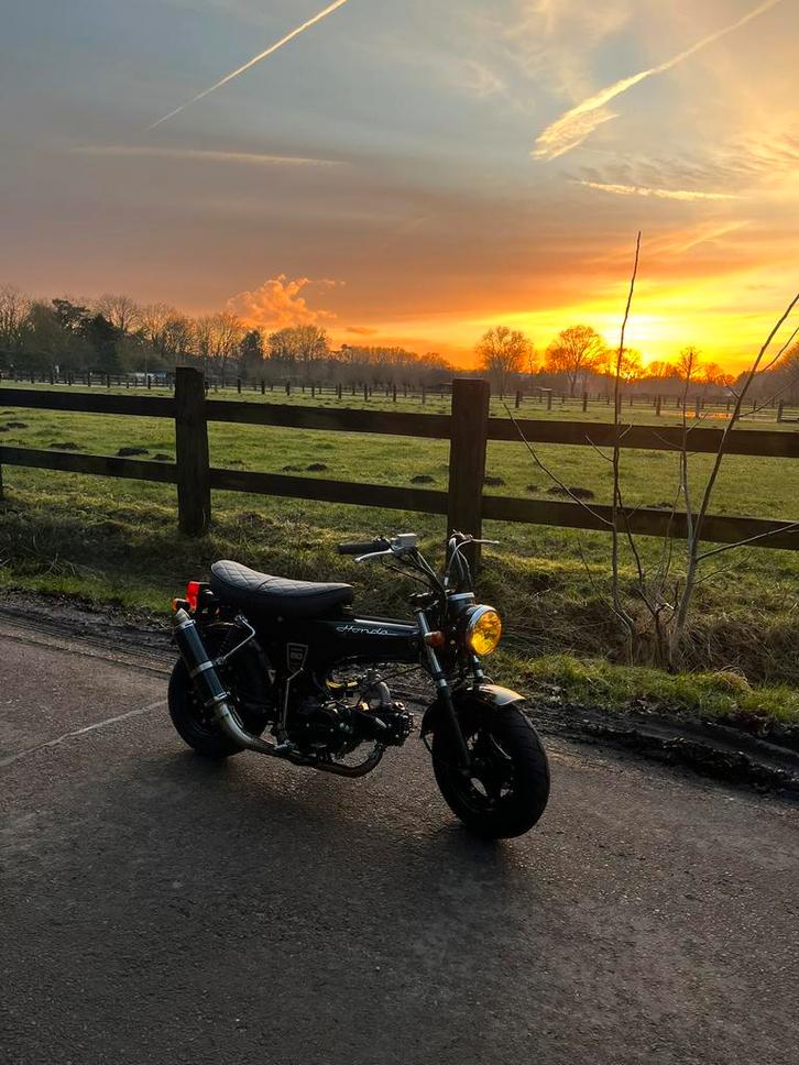 Lowrider dax, Fietsen en Brommers, Brommers | Honda, Zo goed als nieuw, Klasse B (45 km/u), Ophalen