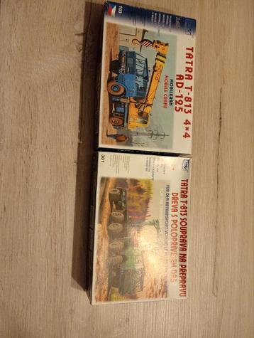 Maquette de camion en 1/87 ho  beschikbaar voor biedingen