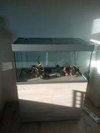 Aquarium met toebehoren, Dieren en Toebehoren, Ophalen
