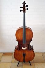 Mooie studie cello 4/4 G.Bertoni, Muziek en Instrumenten, Strijkinstrumenten | Cello's, Ophalen, Zo goed als nieuw, 4/4-cello