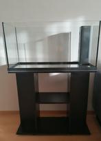 Aquarium Juwel 110 + kast en toebehoren, Ophalen, Gebruikt, Gevuld zoetwateraquarium
