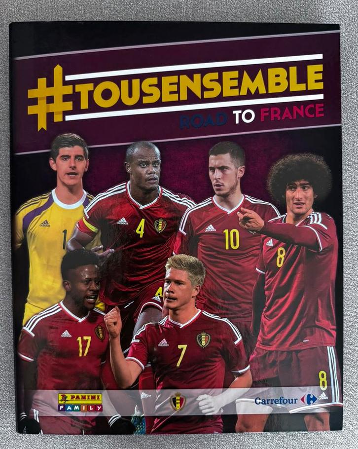 Volledig Panini-album #TousEnsemble Euro 2016, Hobby en Vrije tijd, Stickers en Plaatjes, Zo goed als nieuw, Ophalen of Verzenden