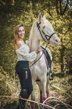 Cruzado merrie! Prachtige kleur, Animaux & Accessoires, Poneys, Jument