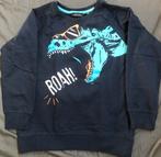 Trui mt 122, Ophalen of Verzenden, Zo goed als nieuw, Jongen, Trui of Vest