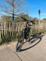QWIC RD10 Speed - 3600 km -Nieuwe batterij - Speedpedelec, Ophalen, Gebruikt, Qwic