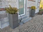 2 Superbes jardinières hautes avec plantes. A saisir ! Dimen, Tuin en Terras, Bloembakken en Plantenbakken, Ophalen, Zo goed als nieuw