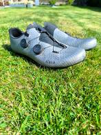 Fizik vento stabilita Carbon maat 44 koers Fietsschoenen, Fietsen en Brommers, Ophalen of Verzenden, Zo goed als nieuw