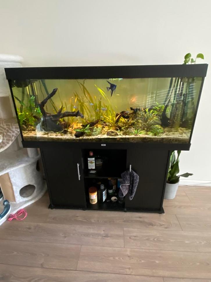 Juwel RIO 450 + vele extra’s, Dieren en Toebehoren, Vissen | Aquaria en Toebehoren, Zo goed als nieuw, Ophalen