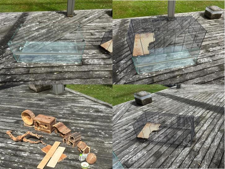 Cage rongeurs / hamsters + jeux et accessoires, Dieren en Toebehoren, Knaagdieren en Konijnen | Hokken en Kooien, Gebruikt, Kooi