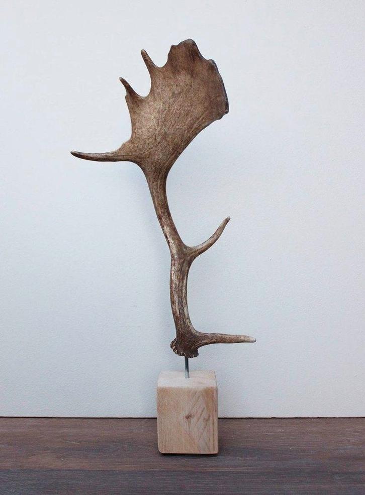 DAMHERT GEWEI op houten sokkel - ref. A, Collections, Collections Animaux, Neuf, Bois ou Tête, Cerf, Enlèvement ou Envoi