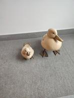 Decoratieve eenden, Antiek en Kunst, Ophalen