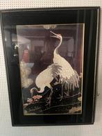 Kraanvogels – Oost-Aziatisch, Ophalen