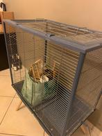 Parkietenkooi, Dieren en Toebehoren, Ophalen, Gebruikt, Metaal, Vogelkooi