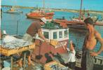 FOLKLORE -  Aanvoer Visvangst  Algarve, Collections, Cartes postales | Thème, Envoi, Non affranchie, Artisanats et Métiers