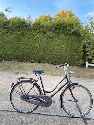 Damesfiets Novy RIJKLAAR beschikbaar voor biedingen
