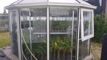 serre kas pagode carrousel beschikbaar voor biedingen