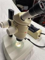 Microscope Leica MZ12, Microscope Stéréo, Utilisé, Enlèvement ou Envoi