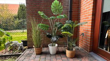 3 kunstplanten met pot – realistisch en onderhoudsvrij  beschikbaar voor biedingen