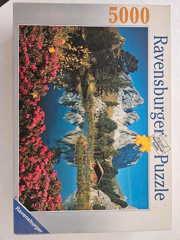 Ravensburger beschikbaar voor biedingen