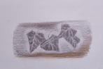 Ivy-tekening te koop, Antiek en Kunst, Kunst | Tekeningen en Fotografie, Verzenden