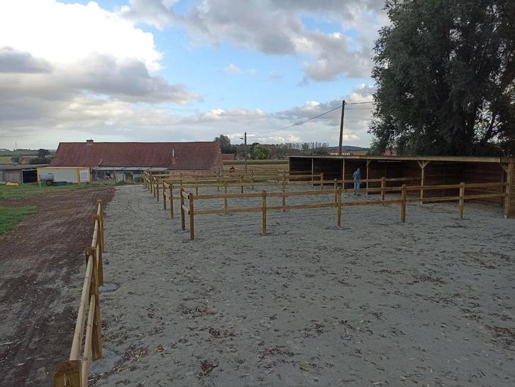 Pension complète région de Tournai, Dieren en Toebehoren, Stalling en Weidegang