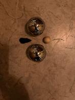 2 sets van 2 petanque ballen, Sport en Fitness, Overige Sport en Fitness, Ophalen, Nieuw