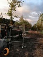 Plaats op paddock met inloopstal te Berg/ Kampenhout, Dieren en Toebehoren, Ophalen of Verzenden, Zo goed als nieuw