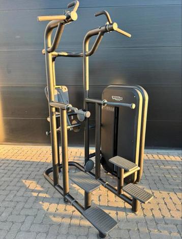Technogym Chin/Dip Kneeling easy !!  beschikbaar voor biedingen