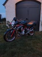 Kawasaki ER-6n ABS, Motoren, Motoren | Kawasaki, 2 cilinders, Particulier, Meer dan 35 kW, ABS