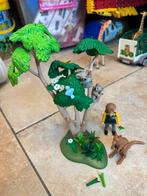 Playmobil koala kangoeroe Zoo, Kinderen en Baby's, Speelgoed | Playmobil, Ophalen, Zo goed als nieuw, Complete set