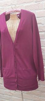 Vest maat l yessica, Vêtements | Femmes, Pulls & Gilets, Taille 42/44 (L), Enlèvement ou Envoi, Autres couleurs, Yessica