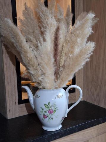 Boeket gedroogde Pampas pluimen in Koffiekan (Compleet 5€) beschikbaar voor biedingen