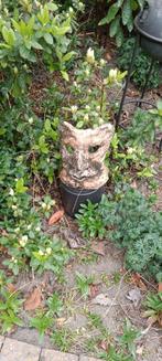 tuinbeeld kattensnuit, Enlèvement, Utilisé, Pierre, Animal