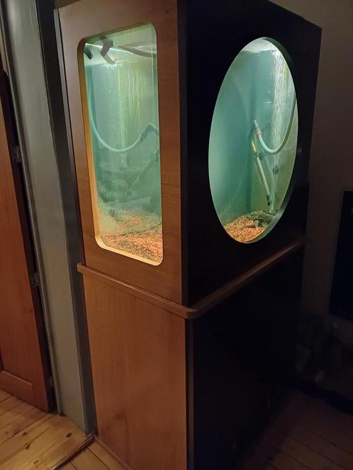Aquarium aquatlantis model patrijspoort groot model, Dieren en Toebehoren, Vissen | Aquaria en Toebehoren, Gebruikt, Gevuld zoetwateraquarium