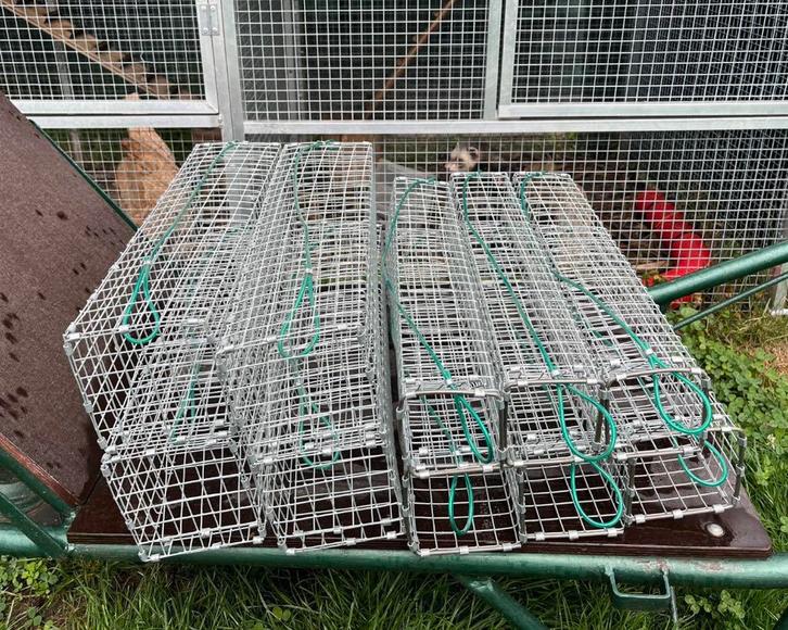 Freteerkooien om ratten te vangen, Dieren en Toebehoren, Knaagdieren en Konijnen | Hokken en Kooien, Fret, Ophalen of Verzenden