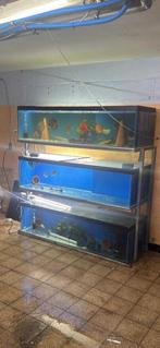 Rack aquarium, Dieren en Toebehoren, Ophalen, Zo goed als nieuw