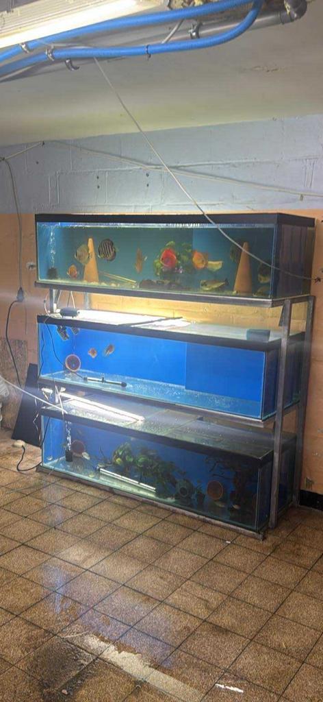 Rack aquarium, Dieren en Toebehoren, Vissen | Aquaria en Toebehoren, Zo goed als nieuw, Ophalen