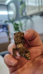 Chahoua white collar 0.0.4, Dieren en Toebehoren