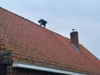 Gratis dakpannen - zelf af te halen, Dakpannen, 15 m² of meer, Gebruikt, Steen of Klei