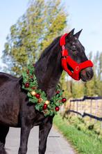 Halve stal gezocht, Dieren en Toebehoren, Stalling en Weidegang