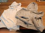 Mango cropped hoodie's, Ophalen of Verzenden, Zo goed als nieuw