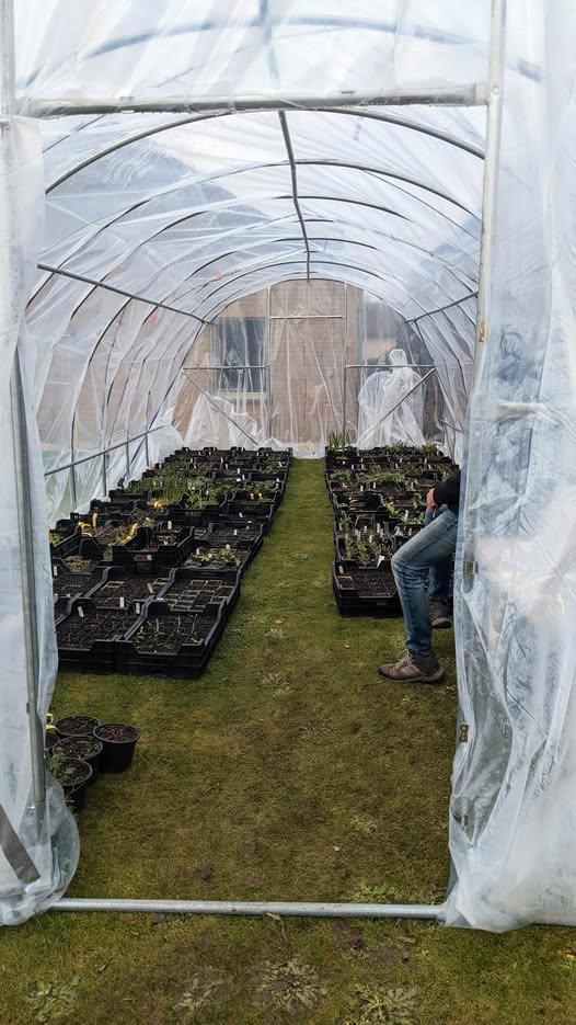 terres agricoles, Immo, Terrains & Terrains à bâtir