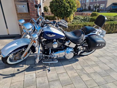 Harley Davidson Softail Deluxe FLSTNi  Jekill and Hyde , Top, Motoren, Motoren | Harley-Davidson, Particulier, Chopper, meer dan 35 kW