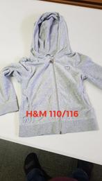 Trui H&M met rits  grijs Maat 110/116, Enfants & Bébés, Vêtements enfant | Taille 110, Pull ou Veste, H&M, Comme neuf, Enlèvement