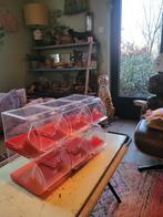 Uit oude snoepwinkel: plastic snoep bakjes, Ophalen of Verzenden