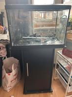 Aquarium met toebehoren 70l, Ophalen, Gebruikt, Leeg aquarium
