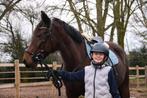 Lieve 10 jarige D pony, Dieren en Toebehoren, Pony's, Merrie, Recreatiepony