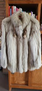 Manteau en fourrure de renard gris argenté - astuce carnaval, Vêtements | Femmes, Vestes | Hiver, Taille 42/44 (L), Enlèvement ou Envoi