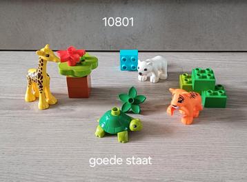 Duplo babydieren 10801 beschikbaar voor biedingen