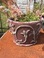 Deco terracotta pot met bloeiende, winterharde vetplant, Huis en Inrichting, Kamerplanten, Ophalen, Vetplant, In pot, Minder dan 100 cm